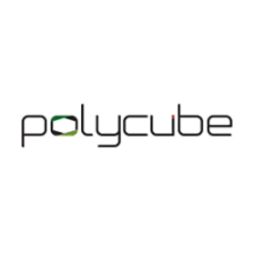 41.POLYCUBE